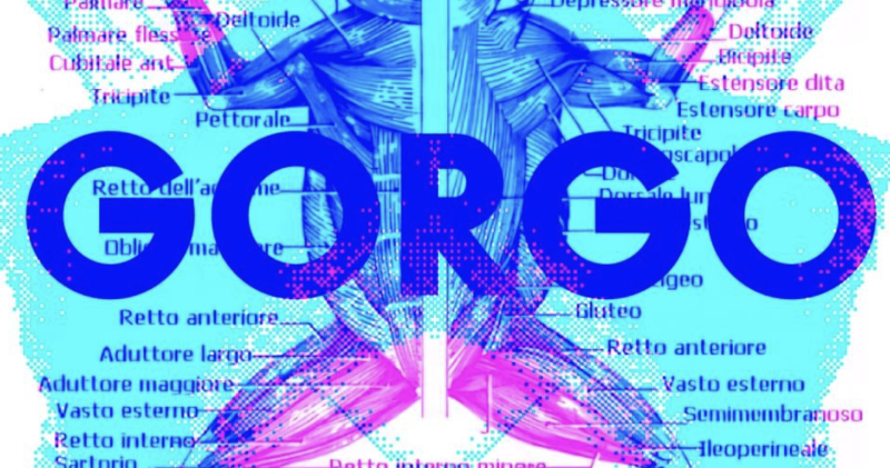 Gorgo